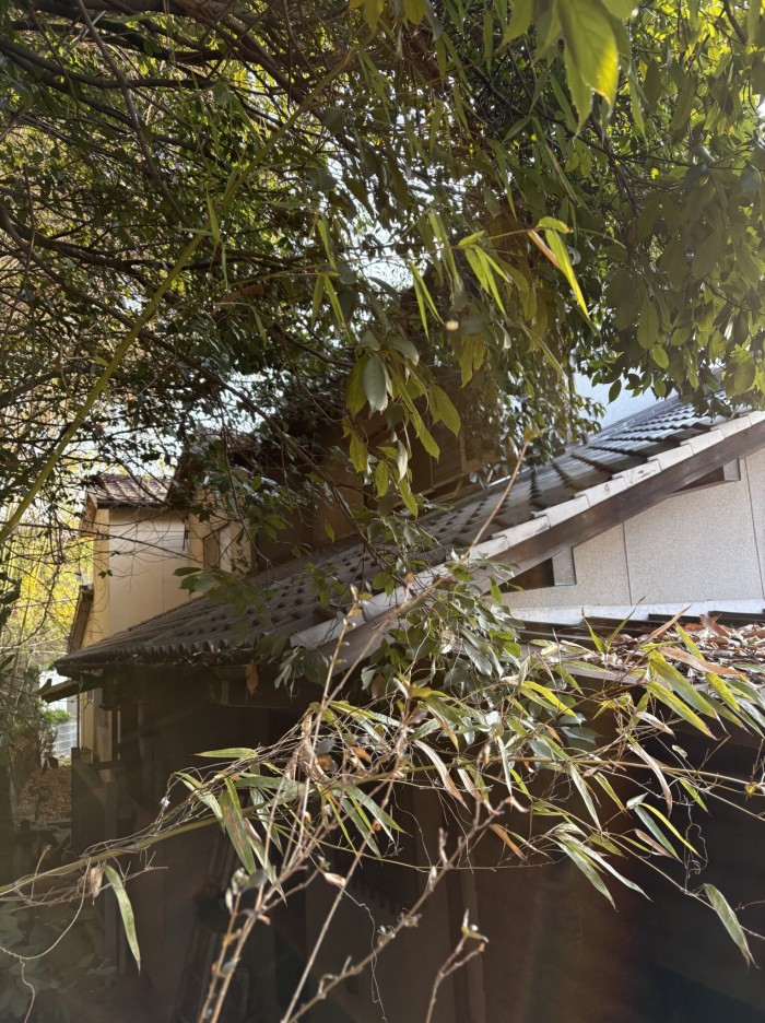 横浜市で行った斜面の竹の伐採事例｜千織庭園 - Before