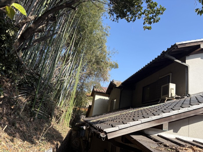横浜市で行った斜面の竹の伐採事例｜千織庭園 - After