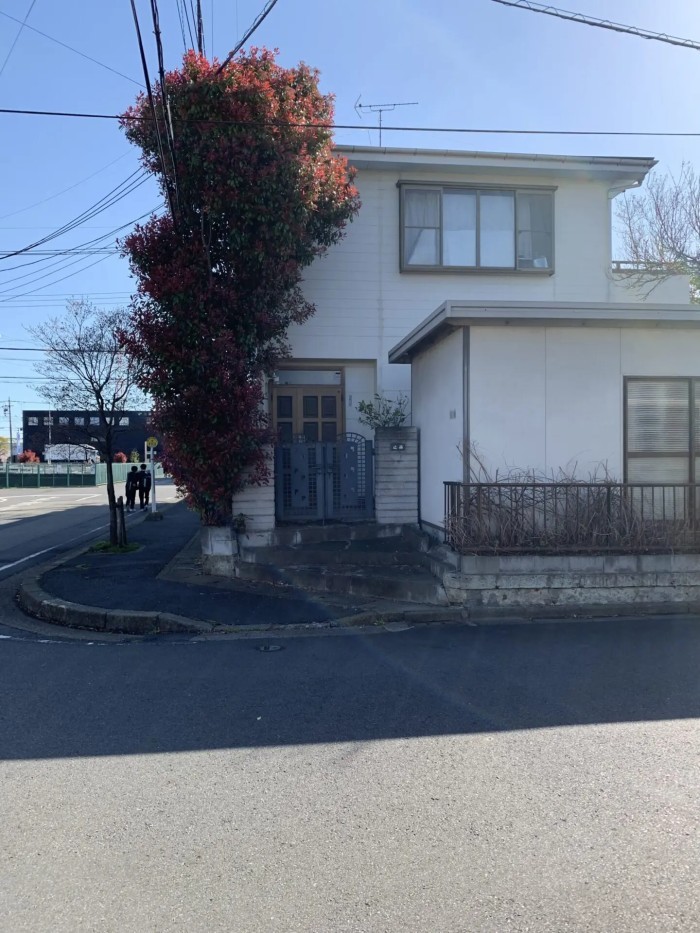 鎌倉市で電線にかかったカナメモチを安全伐採｜住宅密集地で行った伐採作業事例 - Before